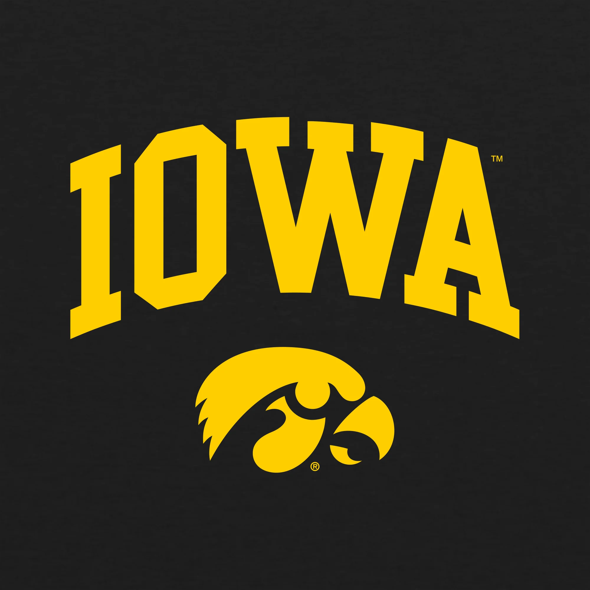 University of Iowa logo